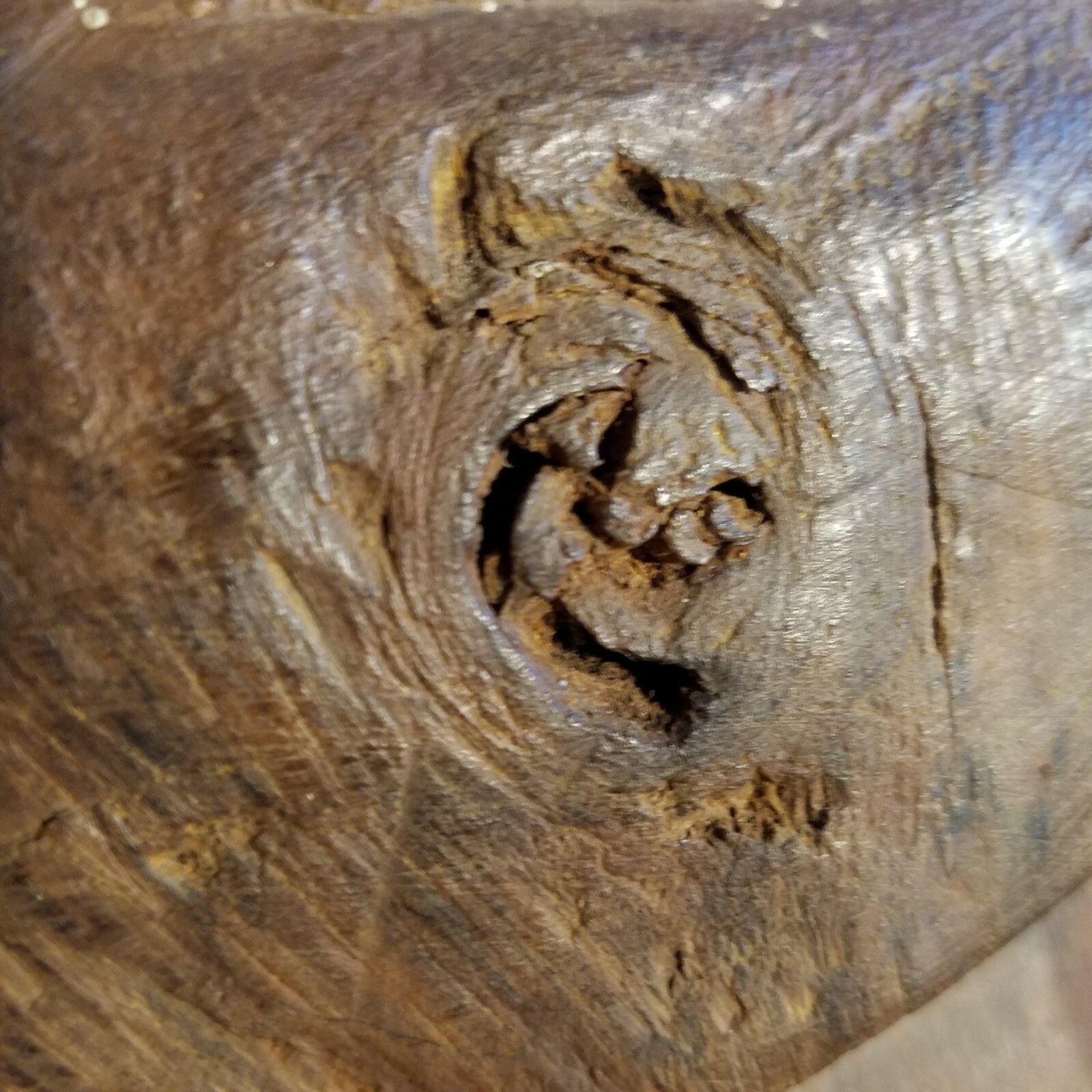 Picture 12 of 12