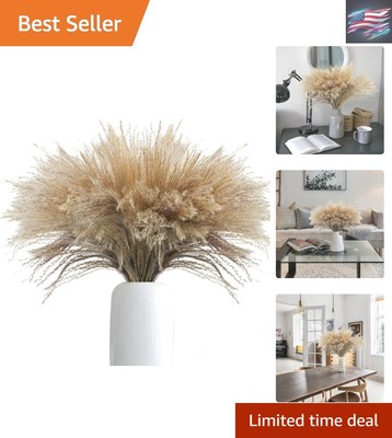 Luxurious Pampas Grass Plumes - 100 Natural Dried Flowers for Home Aesthetics
