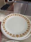 Vintage Pyrex Butterfly Gold Dinner Plates 10 Count