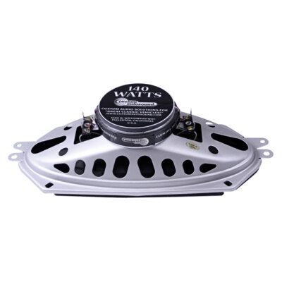 Custom Autosound Dash Speaker Dual Voice Coil 4X10 Mustang 1965-1966