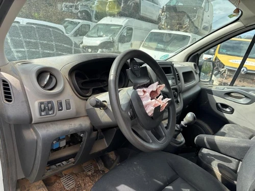 Puerta Delantera Izquierda para RENAULT 2017 179351 - Imagen 5 de 7