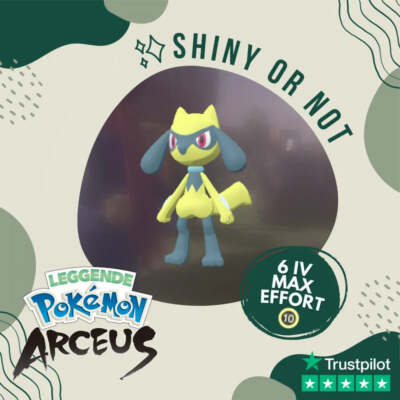 Riolu Shiny   Legends Pokémon Arceus 6 IV Max Effort Custom OT Leggende