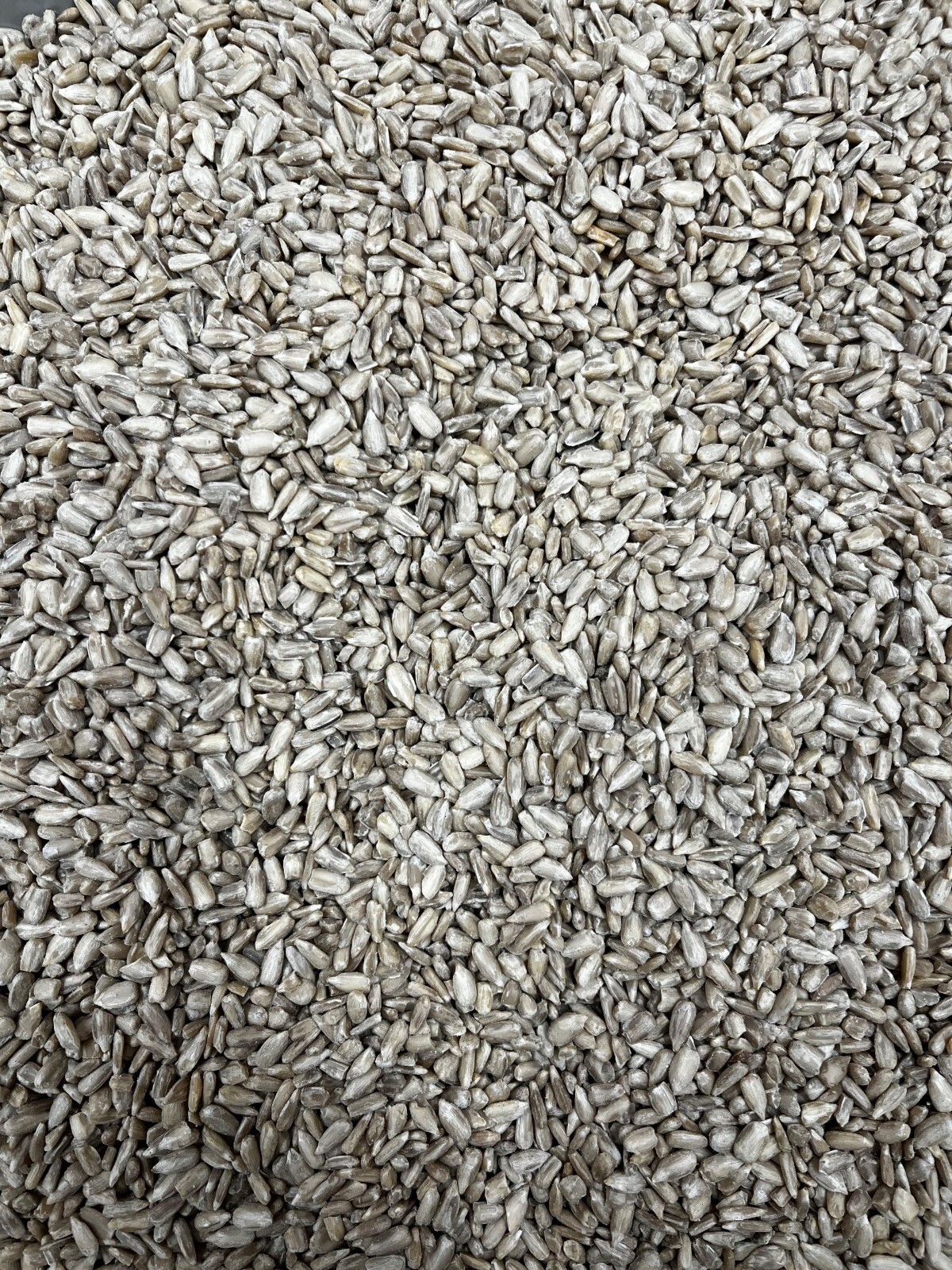 Sunflower Hearts Bird Seed Multiple Quantities Available eBay