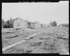 Photo:Mississippi, New cabins at Hill House