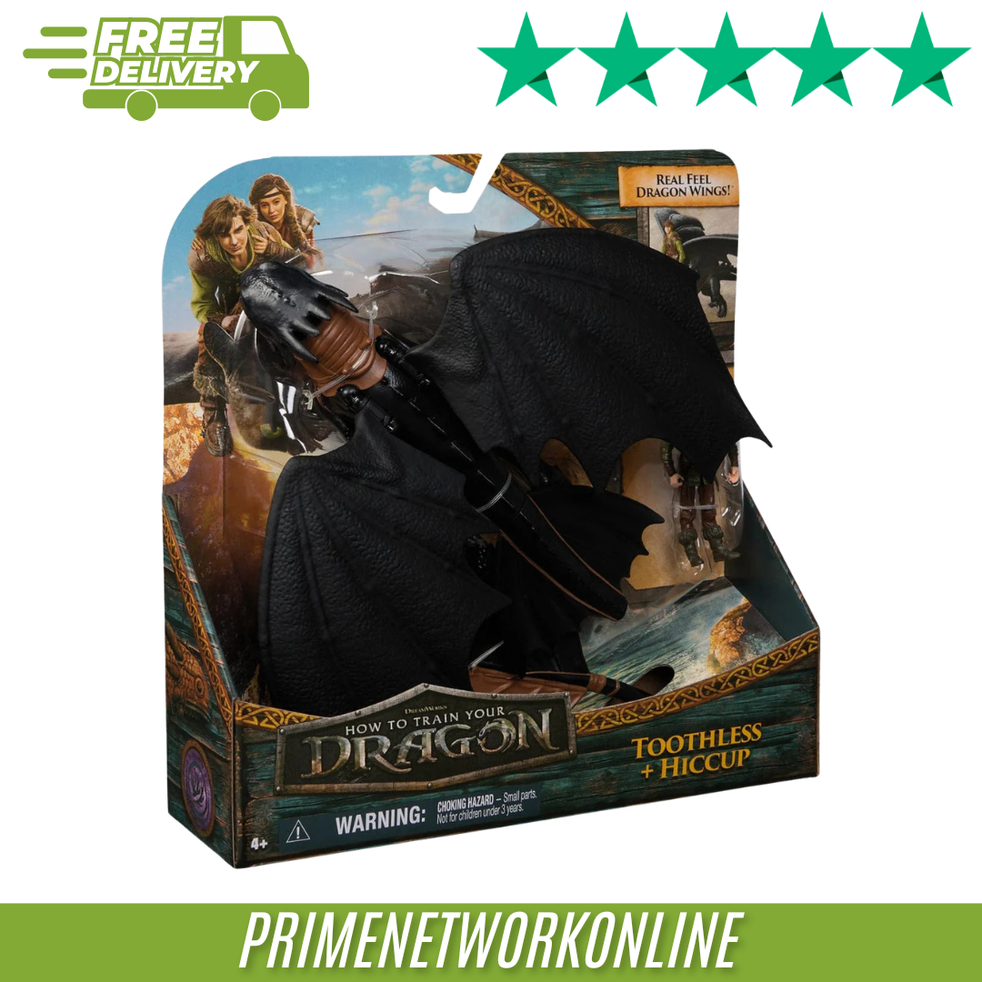 Dreamworks Dragons, How to Train Your Dragon, Toothless & Hiccup - MISSING LEG - Image 4