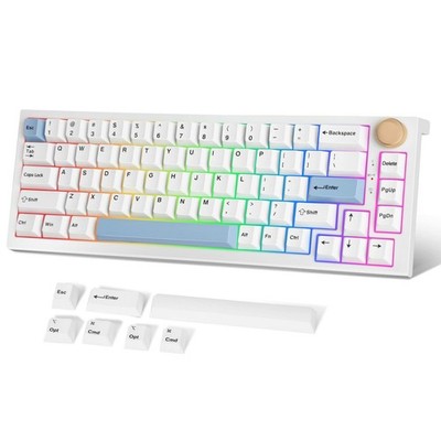 FANTECH MAXFIT67 3-Mode Mechanical Gaming Keyboard RGB Backlit, 65% (67-Key) ...