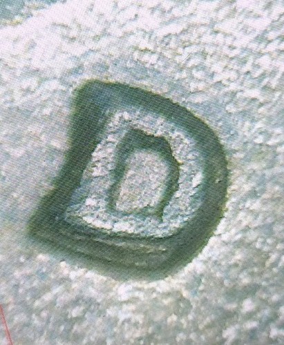 1968-D Kennedy Half Dollar Triple Die Obverse (Trust & Mint Mark), Ddr, Rpm. - Picture 21 of 24