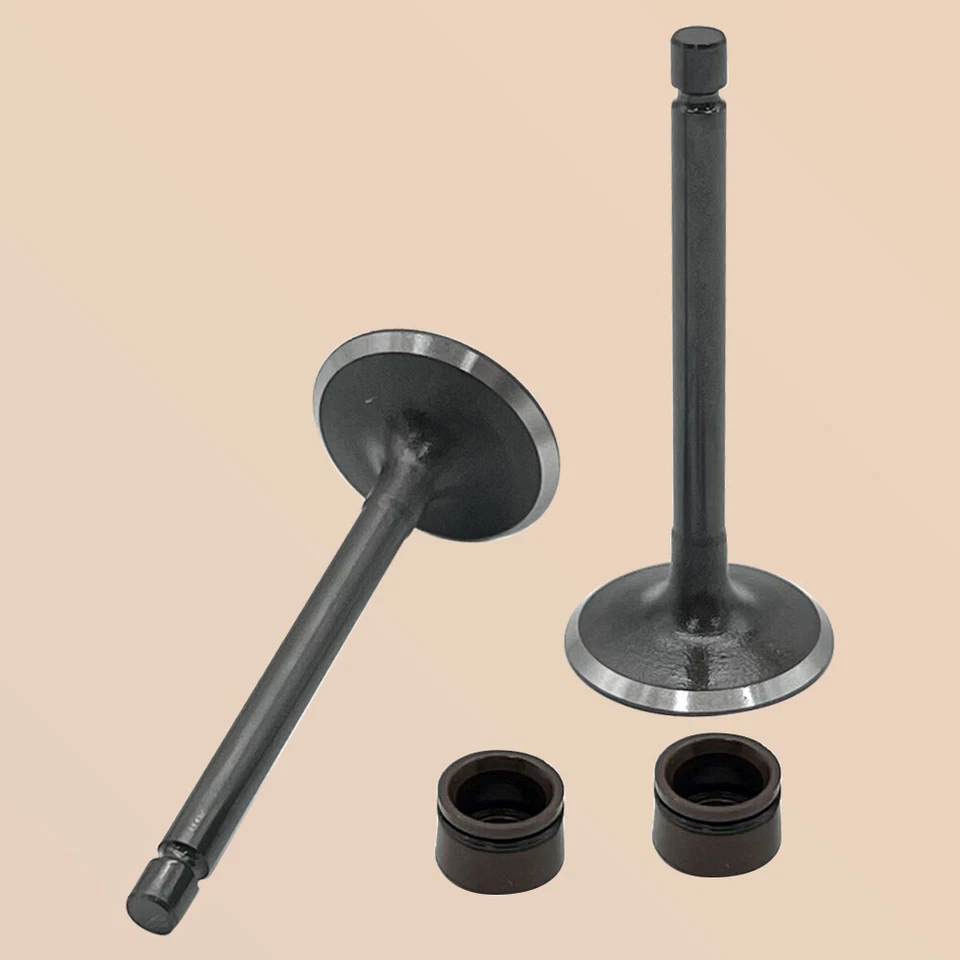 Kit de válvulas de escape de admisión de motor para Yamaha TTR125E 2003-2009 TTR125L 2000-2008 Foto 4 de 4