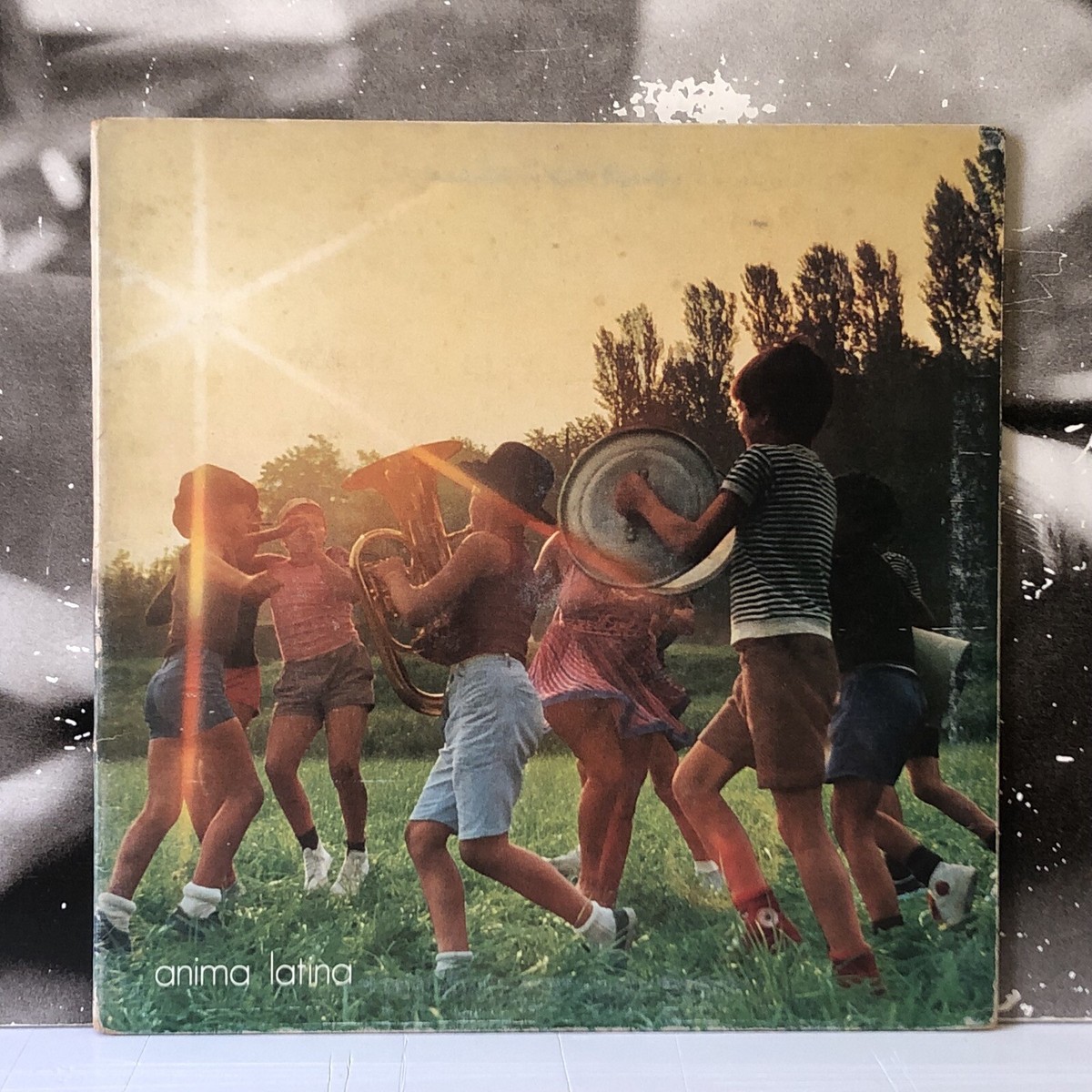 Light Blue Italian Love Anima Latina - LP (2025, Re-Release, Remastered ...