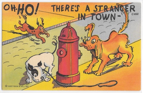 Cartolina Oh Ho Stranger in Town cane che corre annusa idrante fuoco fumetto curteich - Foto 1 di 2