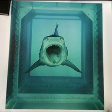 Damien Hirst Shark Poster 2012 The Physical Impossibility of Death 60x50