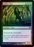 MtG Stalker Hag 129/180 Eventide Uncommon Foil