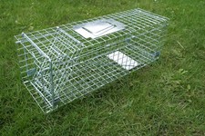 Humane Folding LARGE  33"  Cat trap,keeping your pet unharmed, cat catching trap