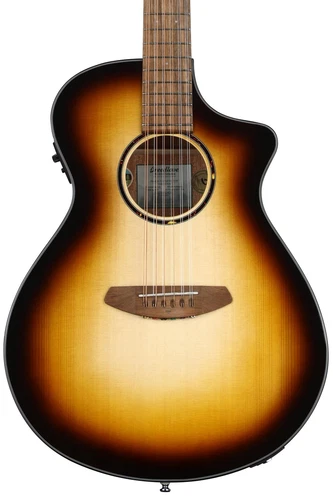 Breedlove ECO Discovery S Concert CE 12-string Acoustic-electric Guitar -