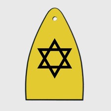 GUITAR TRUSS ROD COVER Engraved Paul Reed Smith PRS USA STAR OF DAVID YELLOW