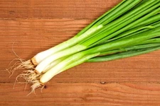 40 SCALLION SEEEDS - easy to grow