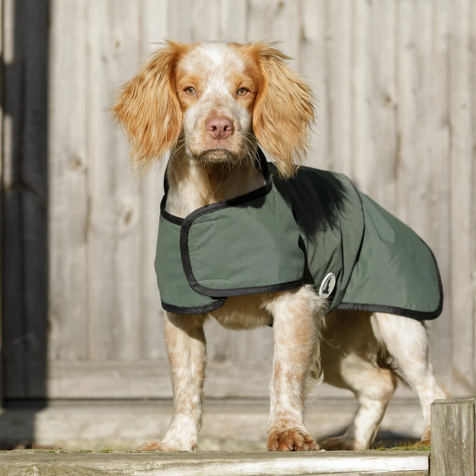 Dog & Field 2 in 1 Fully Waterproof Dog Drying Coat - Microfiber Lined XS - XXL