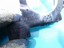 Bild 6 von 6