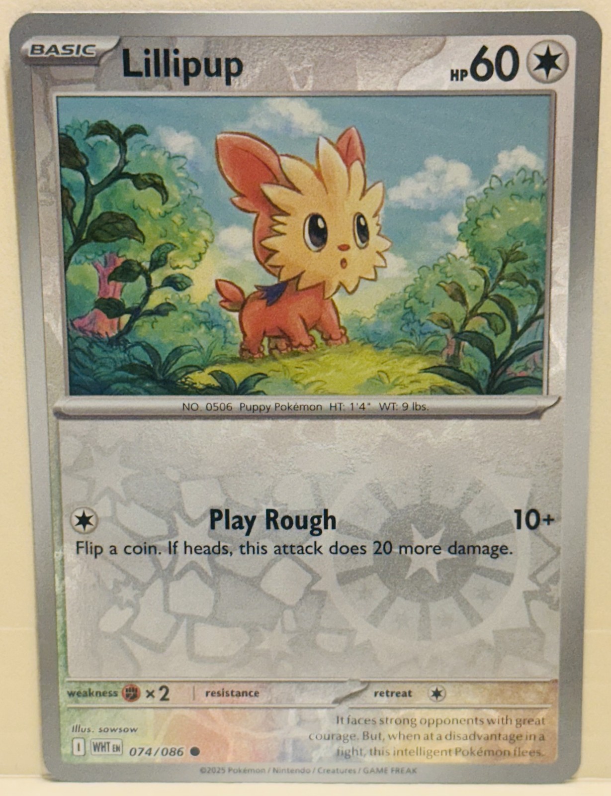 Lillipup Reverse Holo - SV: White Flare 074/086 - NM Pokemon