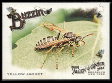2024 Topps Allen & Ginter Buzzin Insert Yello Jacket #BUZ-13