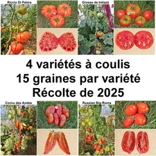 60 graines - 4 variétés de tomates à coulis 
