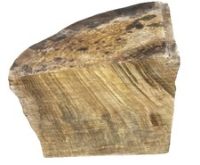 Ambrosia Maple Burl bowl Turning Wood