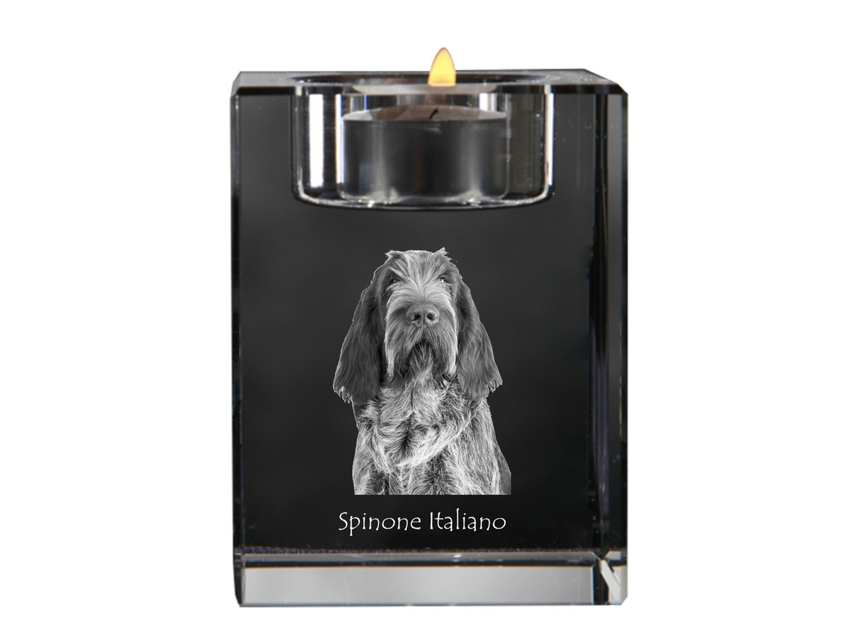Italian Spinone, Spinone Italiano, Bracco Spinoso Candle holder