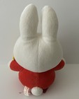 Foto 4 di 6