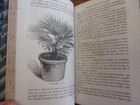 Picture 6 of 9