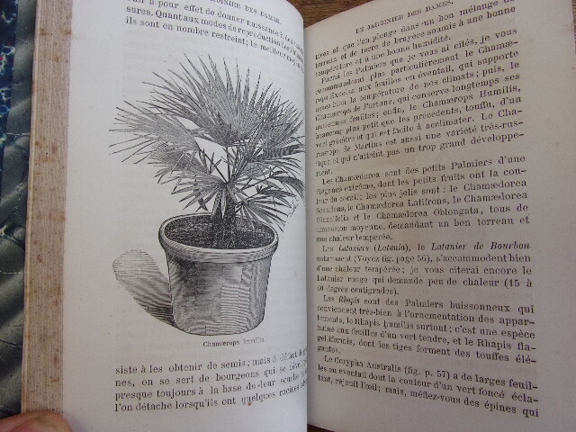 Picture 6 of 9