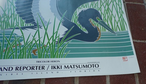 IKKI MATSUMOTO AIRONE TRICOLORE 1999 ISLAND REPORTER SANIBEL FL ART POSTER - FIRMATO - Foto 15 di 18