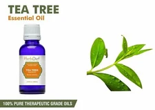 Tea Tree Essential Oil Pure & Natural PREMIUM Uncut Therapeutic Grade Oils 100ml