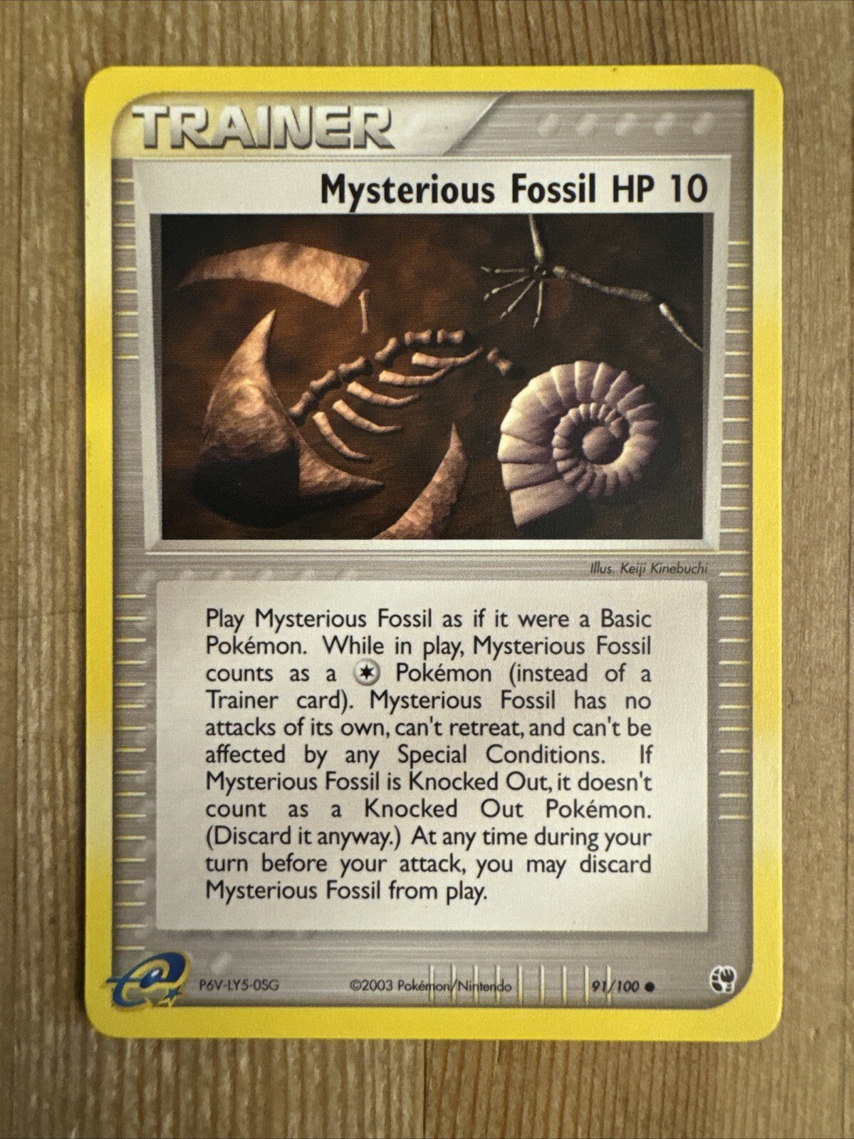 Mysterious Fossil