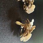 Picture 6 of 9