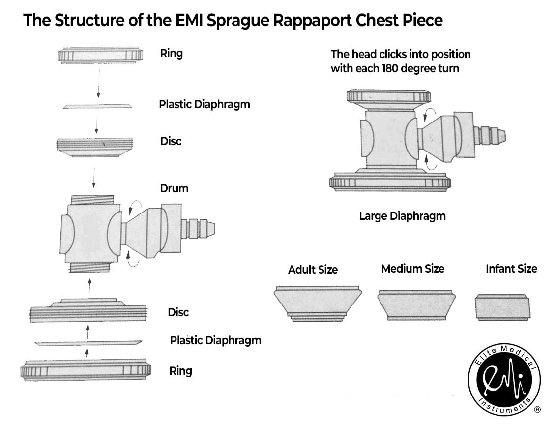 Slide 6