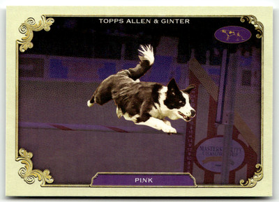 2024 Topps Allen & Ginter MLB No. SOS-2 Pink
