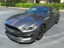 2016 2017 2018 2019 2020 Shelby GT350 Rally Stripes