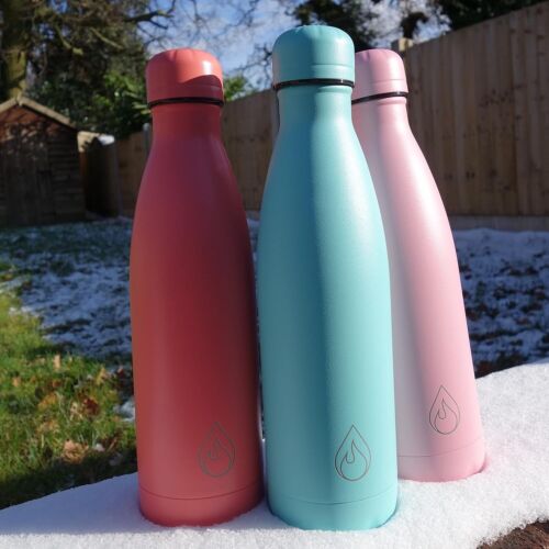 Stainless Steel Reusable Water Bottle & Carabiner- 17oz Sweat/Leak Proof Tumbler