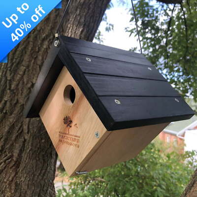 Backyard Expressions Wood Triangle Birdhouse:Natural,Clean-Out Door, 1.125''Hole
