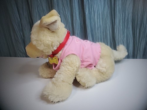 Cane Labrador 16" Costruisci un Orso Golden Retriever con Osso Magnetico e Maglietta Rosa - Foto 22 di 24