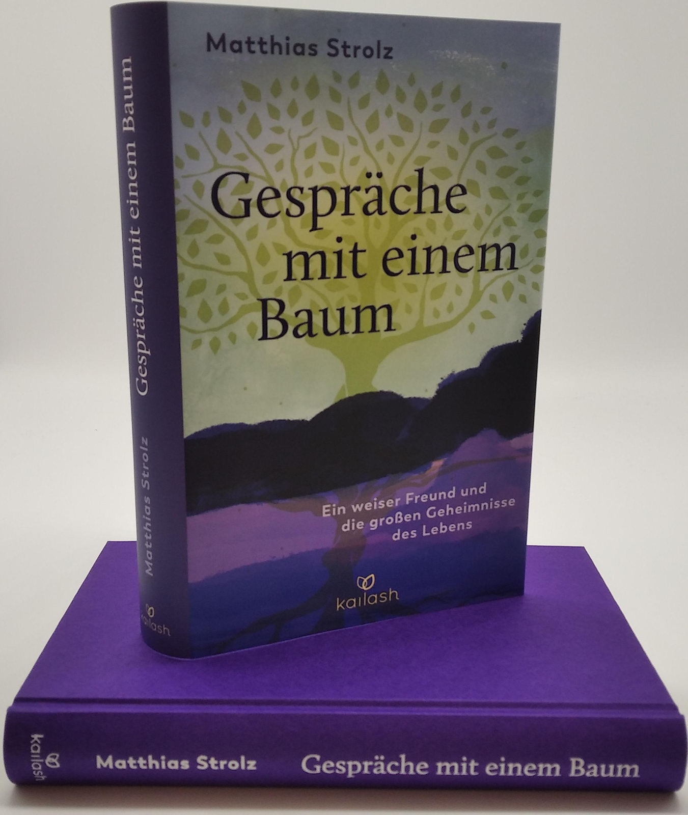 Thumbnail - Gespräche Mit Einem Baum | Matthias Strolz | Deutsch | Buch | 272 S. |