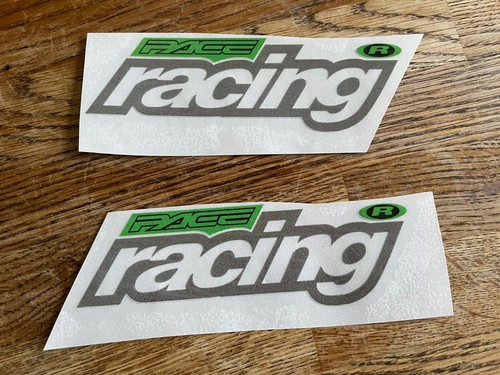 Pace Racing RC37 Bike Fork Decals. Retro Downhill 90’s Mountain Bike Stickers