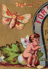 1880s Brainerd & Armstrong Spool Silk Cherub Moth Caterpillars Cocoons F149