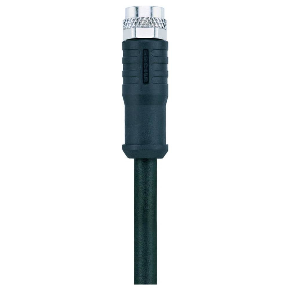 Jonction Escha 8051914 cordon 4 pôles 1.0 m pour liaison étanche de boîte de jonction