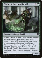 NM Circle of the Land Druid, MTG, Baldur's Gate, Magic the Gathering, 220