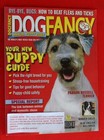 Rare ~ Parson Russell Terrier Issue ~ Dog Fancy Magazine ~ April 2005