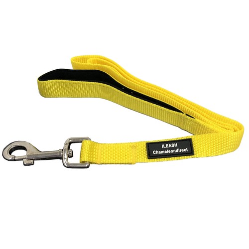 Lifetime guarantee Neoprene Padded handle dog lead leash 4 & 6 Foot 1