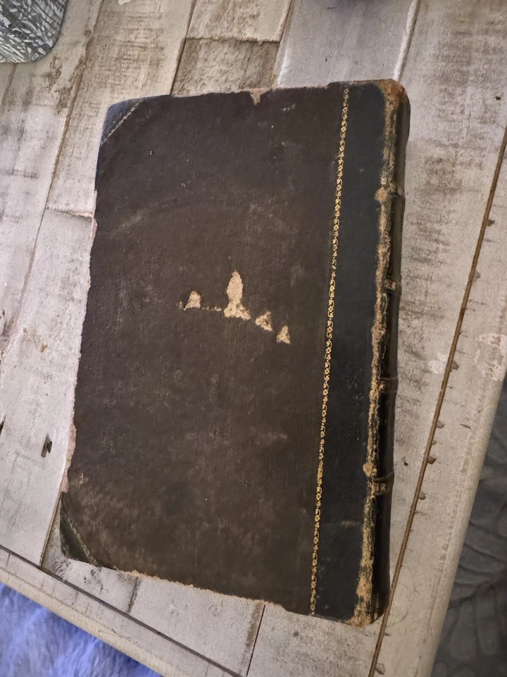 Very Rare Dickens Novels Can’t Find Anywhere Online Circa 1848 Antique Book Foto 2 de 4