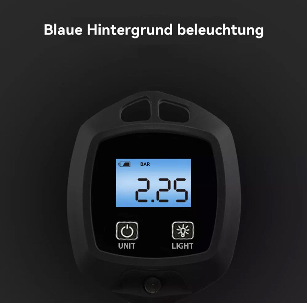 Bild 11 von 12