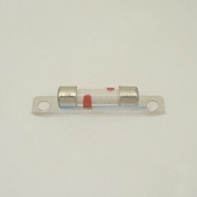 NEW PEC Energy Vehicle High Voltage Fuse DC450V 20A 1pcs